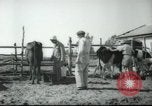 Image école agricole Palestine, 1945, de la seconde 31 séquences d'archives historiques vidéo 65675065130