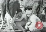 Image école agricole Palestine, 1945, de la seconde 32 séquences d'archives historiques vidéo 65675065130