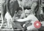 Image école agricole Palestine, 1945, de la seconde 33 séquences d'archives historiques vidéo 65675065130