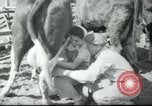 Image école agricole Palestine, 1945, de la seconde 34 séquences d'archives historiques vidéo 65675065130