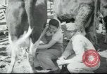 Image école agricole Palestine, 1945, de la seconde 35 séquences d'archives historiques vidéo 65675065130