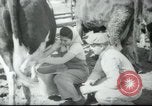 Image école agricole Palestine, 1945, de la seconde 36 séquences d'archives historiques vidéo 65675065130