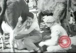 Image école agricole Palestine, 1945, de la seconde 38 séquences d'archives historiques vidéo 65675065130