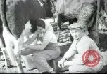 Image école agricole Palestine, 1945, de la seconde 43 séquences d'archives historiques vidéo 65675065130