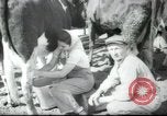 Image école agricole Palestine, 1945, de la seconde 44 séquences d'archives historiques vidéo 65675065130