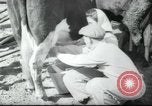 Image école agricole Palestine, 1945, de la seconde 46 séquences d'archives historiques vidéo 65675065130