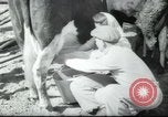Image école agricole Palestine, 1945, de la seconde 48 séquences d'archives historiques vidéo 65675065130