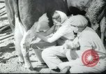 Image école agricole Palestine, 1945, de la seconde 49 séquences d'archives historiques vidéo 65675065130