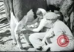 Image école agricole Palestine, 1945, de la seconde 50 séquences d'archives historiques vidéo 65675065130