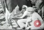 Image école agricole Palestine, 1945, de la seconde 51 séquences d'archives historiques vidéo 65675065130