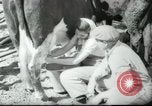 Image école agricole Palestine, 1945, de la seconde 52 séquences d'archives historiques vidéo 65675065130
