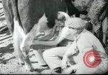 Image école agricole Palestine, 1945, de la seconde 53 séquences d'archives historiques vidéo 65675065130