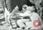 Image école agricole Palestine, 1945, de la seconde 54 séquences d'archives historiques vidéo 65675065130