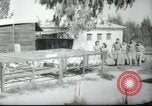 Image école agricole Palestine, 1945, de la seconde 55 séquences d'archives historiques vidéo 65675065130