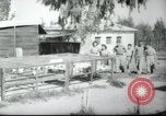 Image école agricole Palestine, 1945, de la seconde 57 séquences d'archives historiques vidéo 65675065130