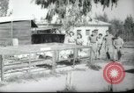 Image école agricole Palestine, 1945, de la seconde 58 séquences d'archives historiques vidéo 65675065130