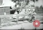 Image école agricole Palestine, 1945, de la seconde 60 séquences d'archives historiques vidéo 65675065130