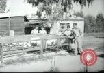 Image école agricole Palestine, 1945, de la seconde 61 séquences d'archives historiques vidéo 65675065130
