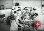 Immagine di Scuola di Agraria Palestina, 1945, secondo 16 filmato di repertorio 65675065131