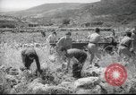 Image of Palestine civilians Palestine, 1945, second 3 stock footage video 65675065132