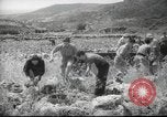 Image of Palestine civilians Palestine, 1945, second 4 stock footage video 65675065132