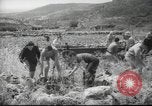 Image of Palestine civilians Palestine, 1945, second 5 stock footage video 65675065132