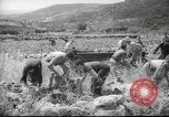Image of Palestine civilians Palestine, 1945, second 6 stock footage video 65675065132