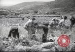Image of Palestine civilians Palestine, 1945, second 7 stock footage video 65675065132