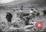 Image of Palestine civilians Palestine, 1945, second 8 stock footage video 65675065132