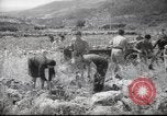 Image of Palestine civilians Palestine, 1945, second 9 stock footage video 65675065132