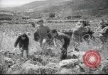 Image of Palestine civilians Palestine, 1945, second 10 stock footage video 65675065132