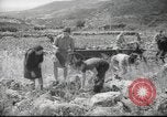 Image of Palestine civilians Palestine, 1945, second 11 stock footage video 65675065132
