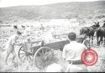 Image of Palestine civilians Palestine, 1945, second 12 stock footage video 65675065132