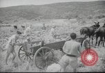 Image of Palestine civilians Palestine, 1945, second 13 stock footage video 65675065132