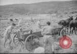 Image of Palestine civilians Palestine, 1945, second 14 stock footage video 65675065132