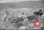 Image of Palestine civilians Palestine, 1945, second 15 stock footage video 65675065132