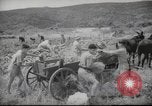 Image of Palestine civilians Palestine, 1945, second 16 stock footage video 65675065132