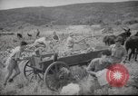 Image of Palestine civilians Palestine, 1945, second 17 stock footage video 65675065132