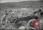 Image of Palestine civilians Palestine, 1945, second 18 stock footage video 65675065132