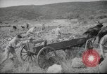Image of Palestine civilians Palestine, 1945, second 19 stock footage video 65675065132