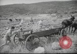 Image of Palestine civilians Palestine, 1945, second 22 stock footage video 65675065132
