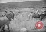 Image of Palestine civilians Palestine, 1945, second 26 stock footage video 65675065132