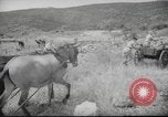 Image of Palestine civilians Palestine, 1945, second 27 stock footage video 65675065132