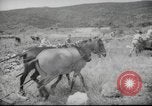 Image of Palestine civilians Palestine, 1945, second 28 stock footage video 65675065132