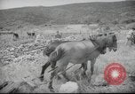 Image of Palestine civilians Palestine, 1945, second 29 stock footage video 65675065132
