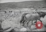 Image of Palestine civilians Palestine, 1945, second 30 stock footage video 65675065132