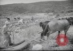 Image of Palestine civilians Palestine, 1945, second 31 stock footage video 65675065132