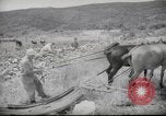 Image of Palestine civilians Palestine, 1945, second 32 stock footage video 65675065132
