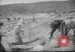Image of Palestine civilians Palestine, 1945, second 33 stock footage video 65675065132