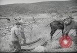 Image of Palestine civilians Palestine, 1945, second 34 stock footage video 65675065132